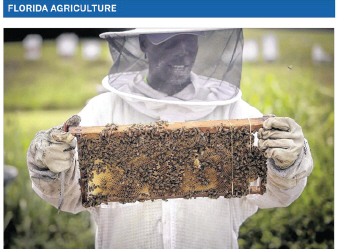 Craig Spence holds up a bee frame